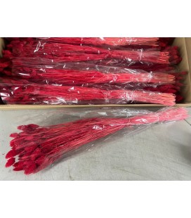 Phalaris Rouge 70cm 100g