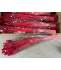Phalaris Rouge 70cm 100g