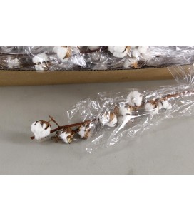 Coton branche 8 fleurs