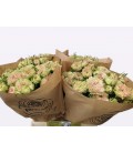 Rose Branchue Grandma Daisy 40 cm