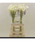 Calla White Art 70 cm