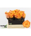 Rose Malaga 40 cm