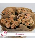 Rose Cappuccino 70 cm