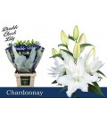 Lys or du Chardonnay