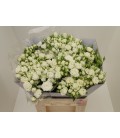 Rose Branchue Josephine 60 cm