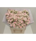 Rose Branchue Kate Lynn 60 cm