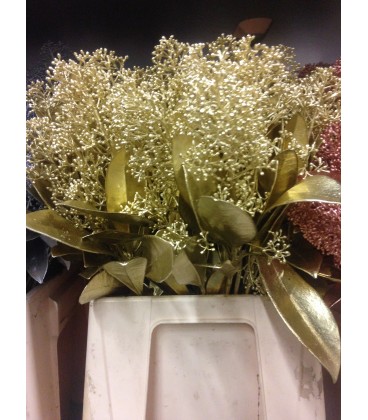 Skimmia Or la botte 45 cm 