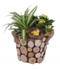 Compo plantes 16 cm