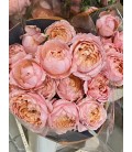 Rose Branchue Julietta 60 cm