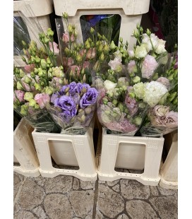 Lisianthus Prod Locale