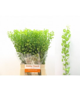 Thalspy Butterfly 70 cm