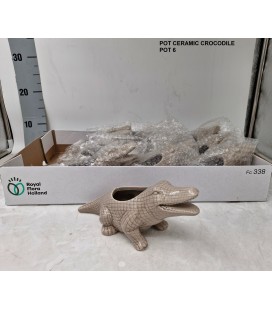 Cache pot céramique Ø6