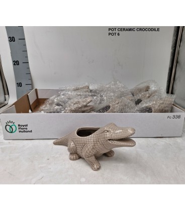 Cache pot céramique Ø6