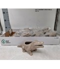 Cache pot céramique Ø6