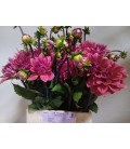 Dahlia Pink Runner 55 cm