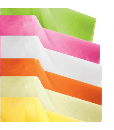 Papier de Soie 10 couleurs 480F