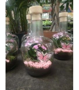 Compo plante15 cm