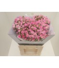 Rose Branchue Kate Lynn pink 60 cm