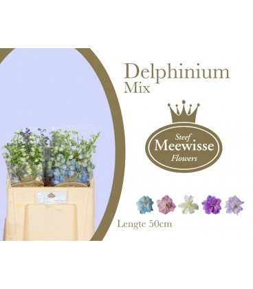 Delphinium double mix 100 cm