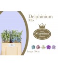 Delphinium double mix 100 cm