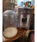 Cloche en verre socle bois