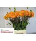 Dahlia Bizon brons 55 cm