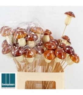 Pics champignon marron x25