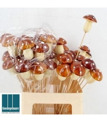 Pics champignon marron x25