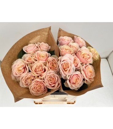 Rose Love Fountain 30 cm