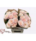 Rose Love Fountain 50 cm