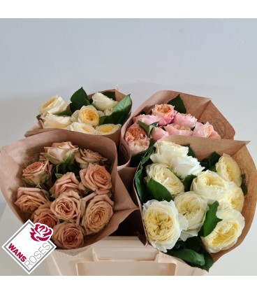 Rose 50 cm mix dans le bac