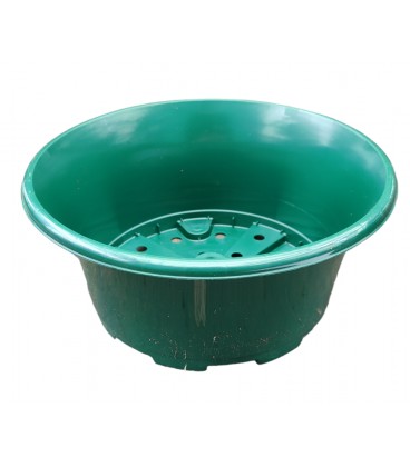 Coupe Eole 30 cm Diff coul