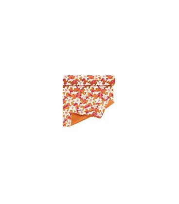 Clairbrill Lysandre Orang 0.80x40ml