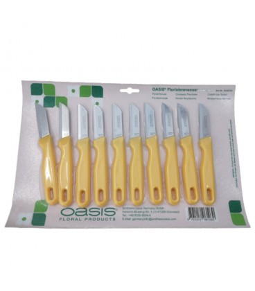 Lot 10 couteau Oasis