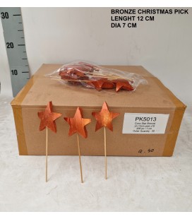 Pics étoile bronze x 10 p