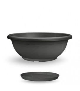 Coupe Naxos 40 cm avec soucoupe