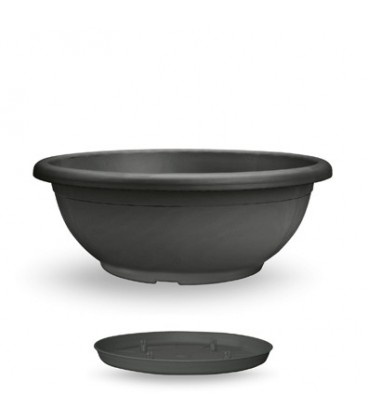 Coupe Naxos 40 cm avec soucoupe