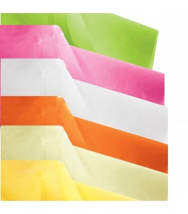 Papier de Soie 6 Couleurs 240F
