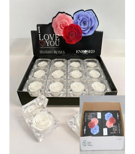 Boite rose eternelle blanche