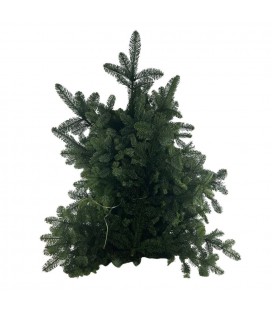 Botte de Nobilis 5 Kg