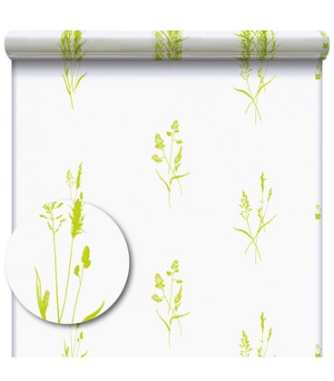 Cello imp Brin anis 0.80x50m