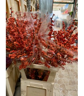 Ilex Orange 100 cm
