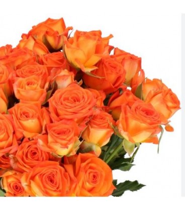 Rose Branchue Orange dimention 40 c