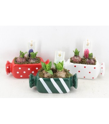 Compo Bonbon mix x 2 j