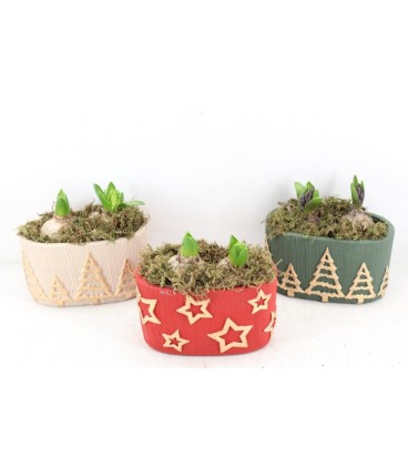 Compo Ceramique Noel ovale x 2 j