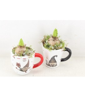 Compo Tasse blanche Gnome x 1