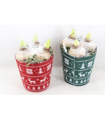 Compo cache pot rouge et vert x 3 j