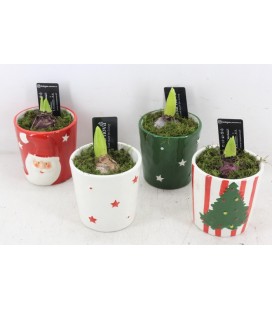 Compo ceramique noel x 1 j