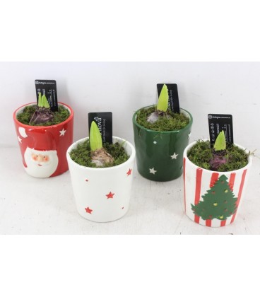 Compo ceramique noel x 1 j