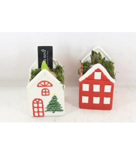 Compo Maison ceramique x 1 j